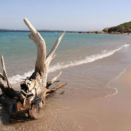Alojamento de Acomodação e Pequeno-almoço Marina Di Cavu 4*